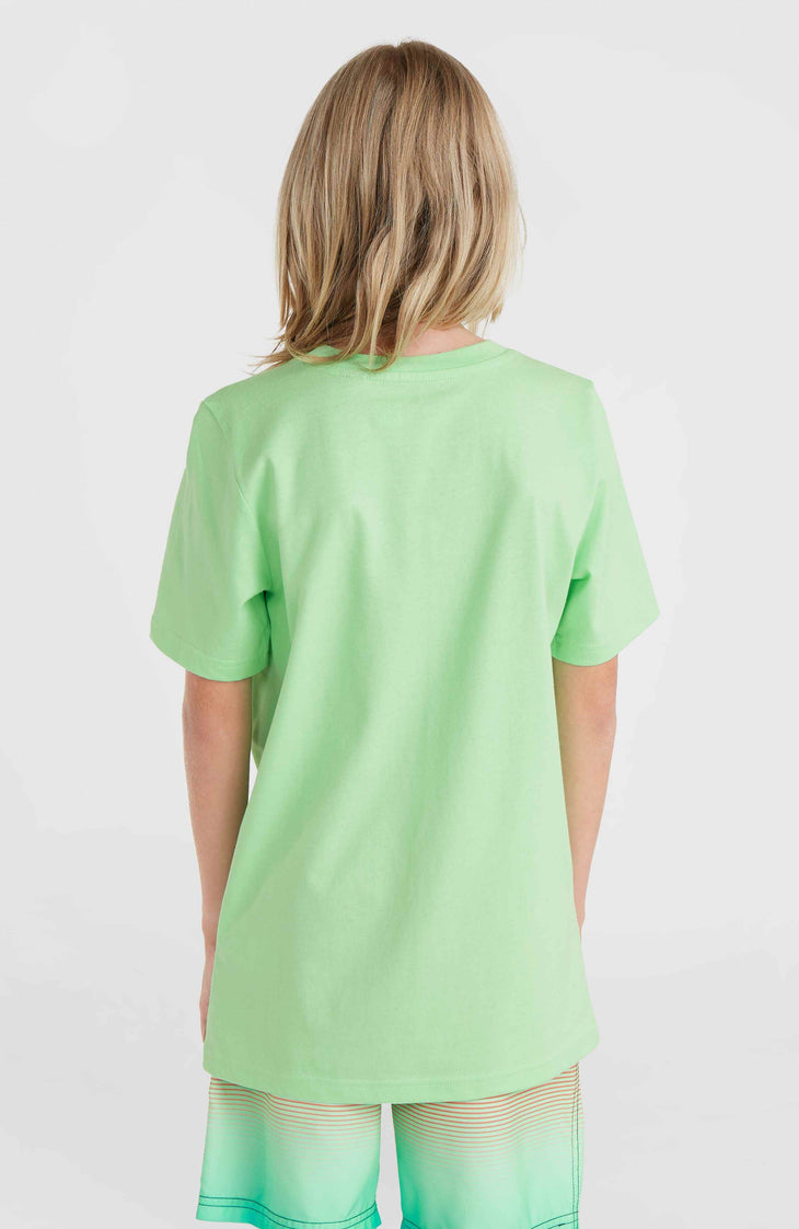 Jack O'Neill Muir T-shirt | Neon Green