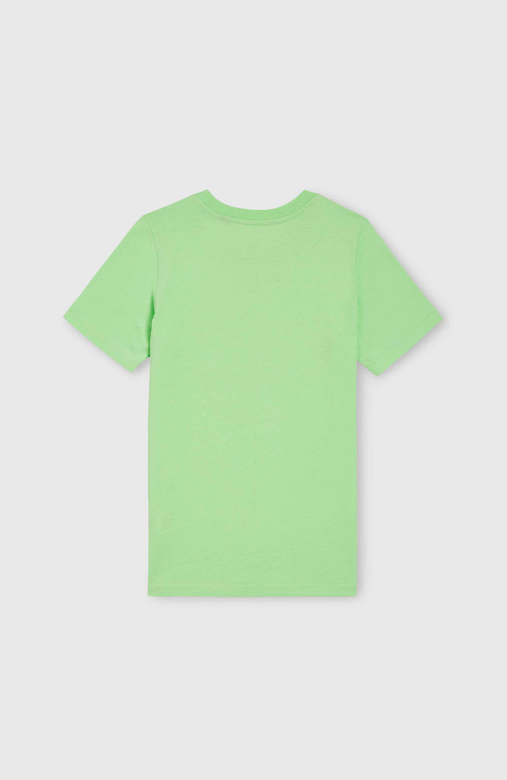 Jack O'Neill Muir T-shirt | Neon Green