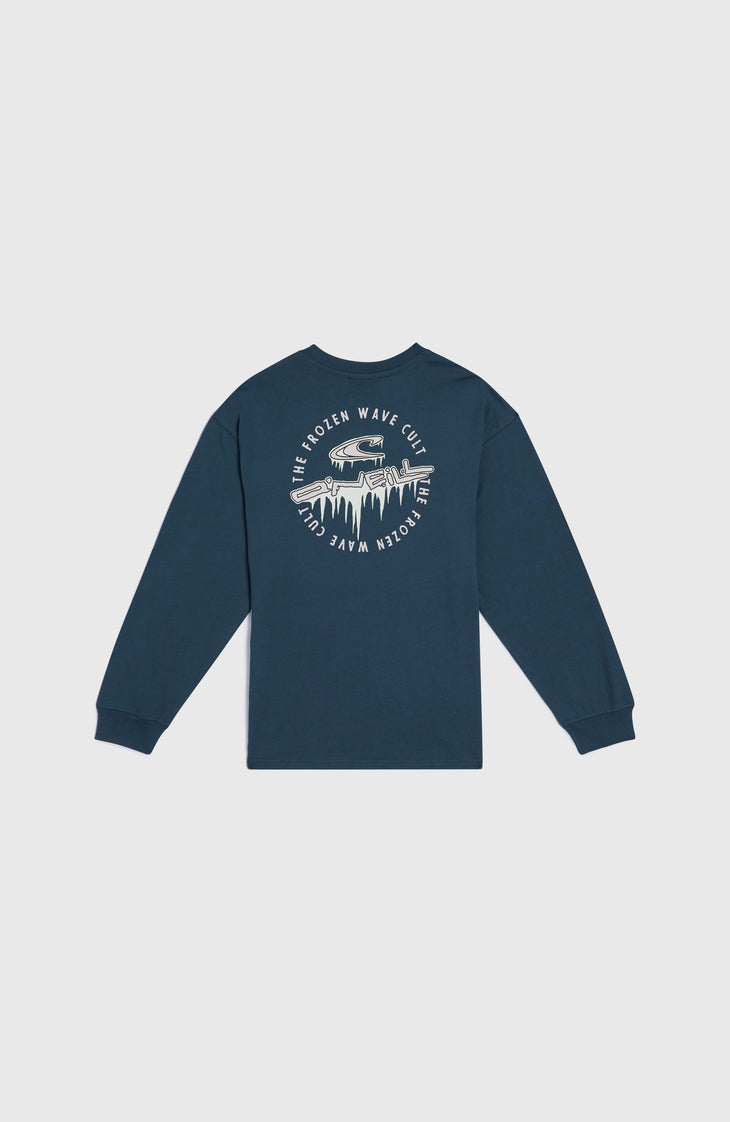 Graphic shirt met lange mouwen | Alma Steel