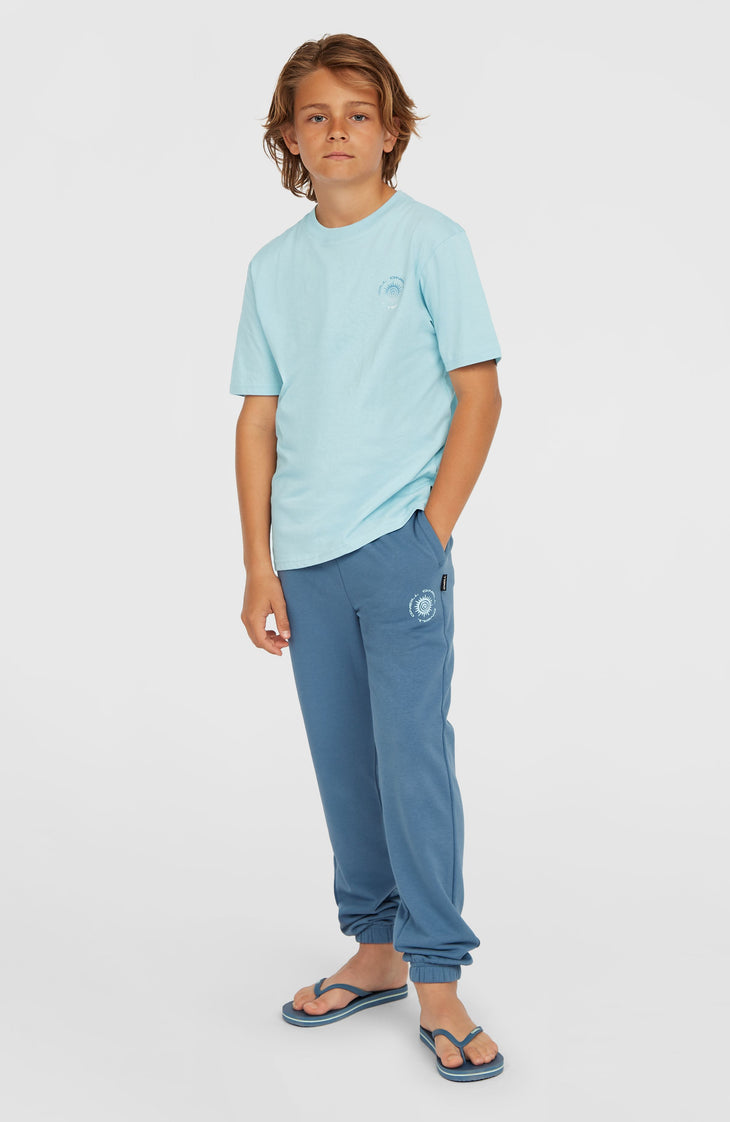 Small Graphic T-shirt | Morning Glory