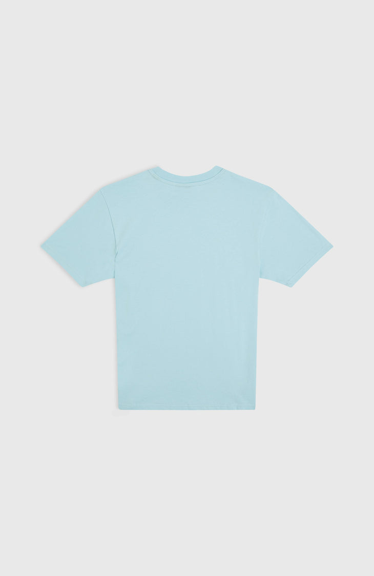 Small Graphic T-shirt | Morning Glory