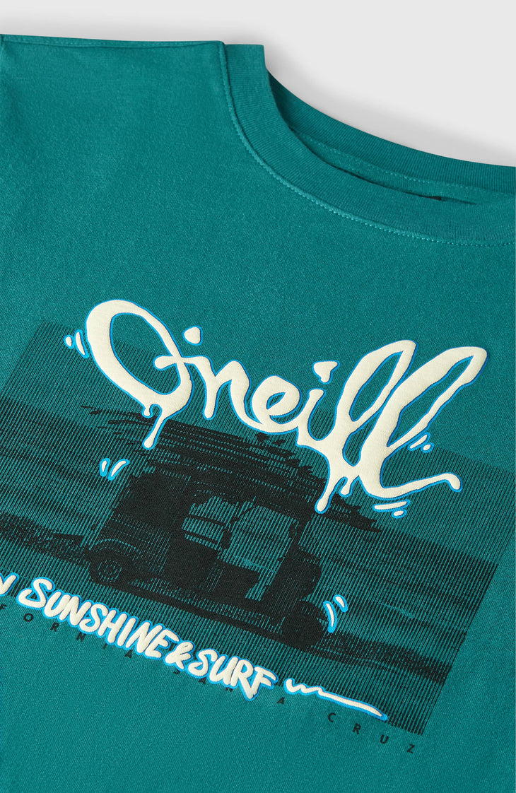 Slub Graphic T-shirt | Botanical Heat