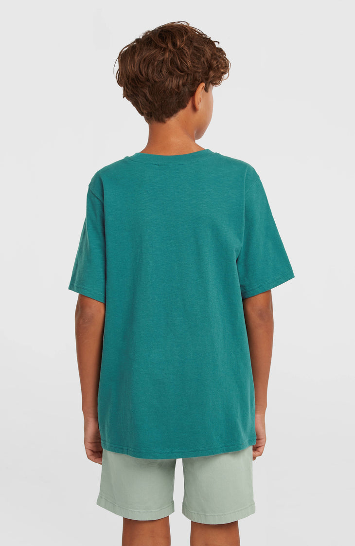 Slub Graphic T-shirt | Botanical Heat