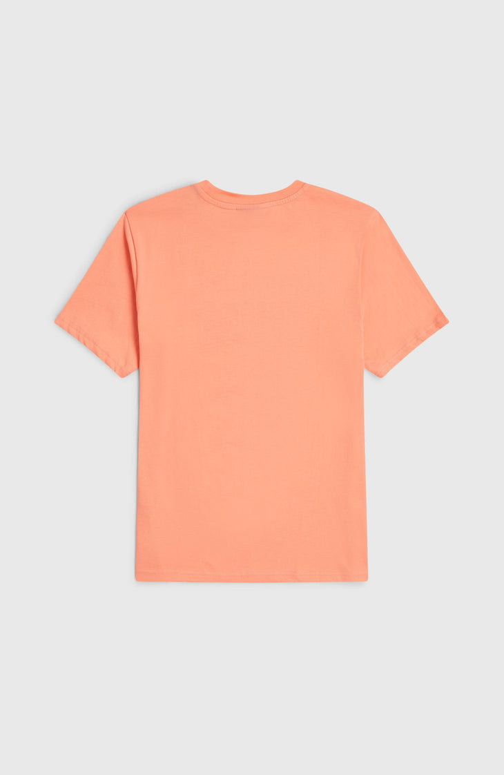 O'Neill Muir T-shirt | Funky Peach