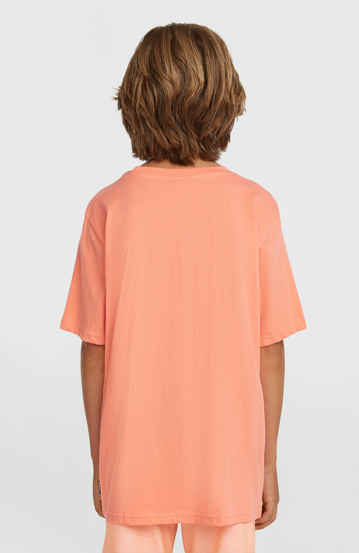 O'Neill Muir T-shirt | Funky Peach