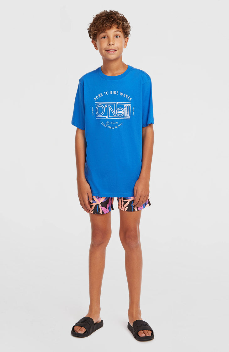 O'Neill Muir T-shirt | Mediterranean Blue