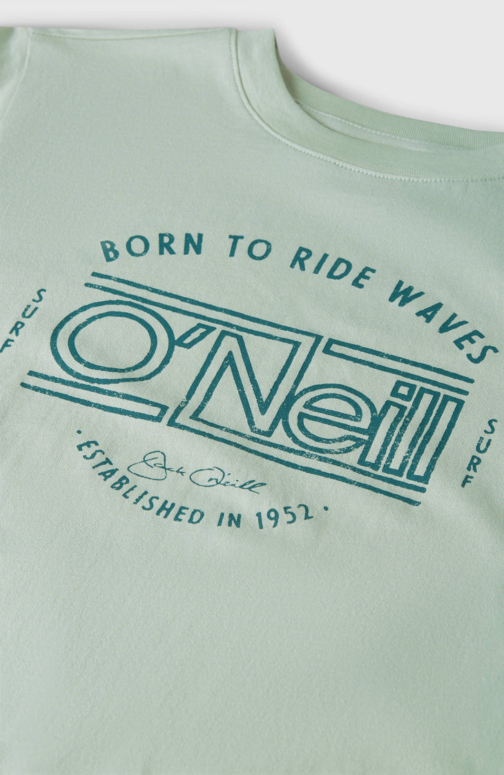 O'Neill Muir T-shirt | Marble Arch