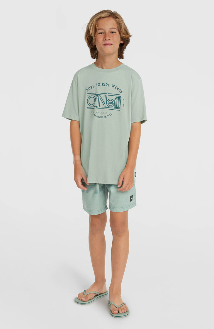 O'Neill Muir T-shirt | Marble Arch