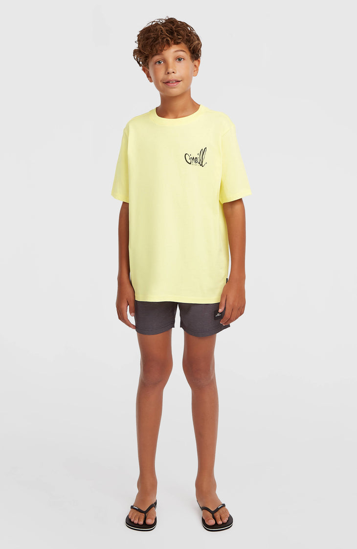 O'Neill Chest-Print T-shirt | Rainforest Dew