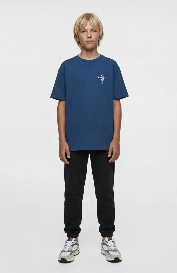 O'Neill Loose Print T-shirt | Regal Blue