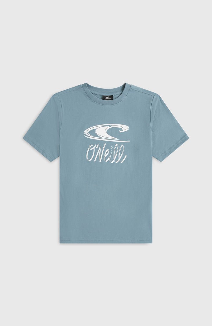 Essentials T-shirt | Murky Water
