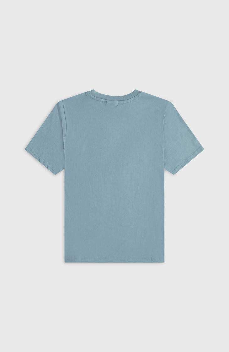 Essentials T-shirt | Murky Water