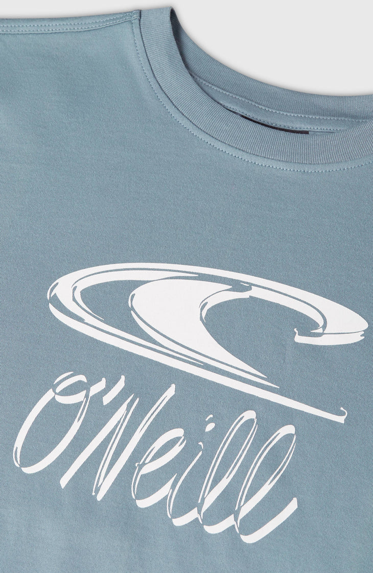 Essentials T-shirt | Murky Water