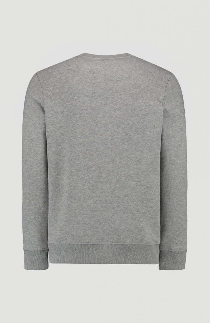 O'Neill Triple Stack Crew Sweatshirt | Silver Melee -A
