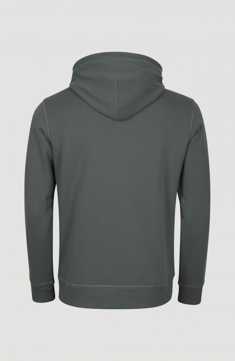 Circle Surfer Hoodie | Balsam Green