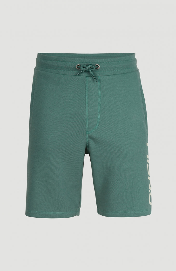 Sweatshort O'Neill Logo | Sea Pine