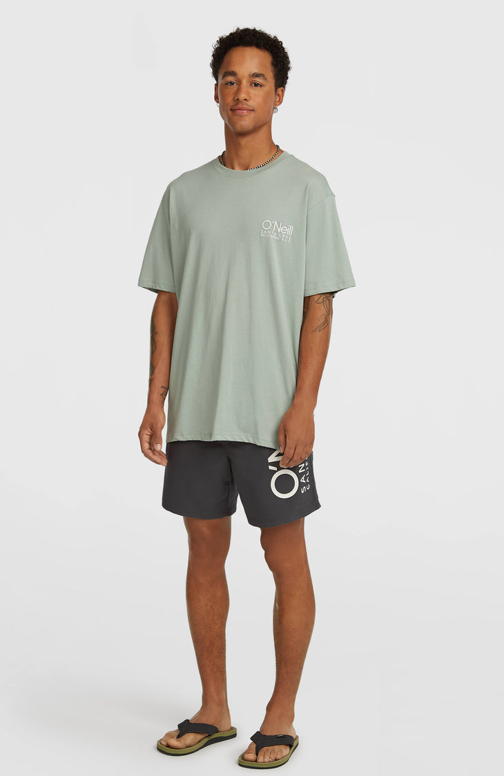 Original Cali 16'' zwembroek | Asphalt