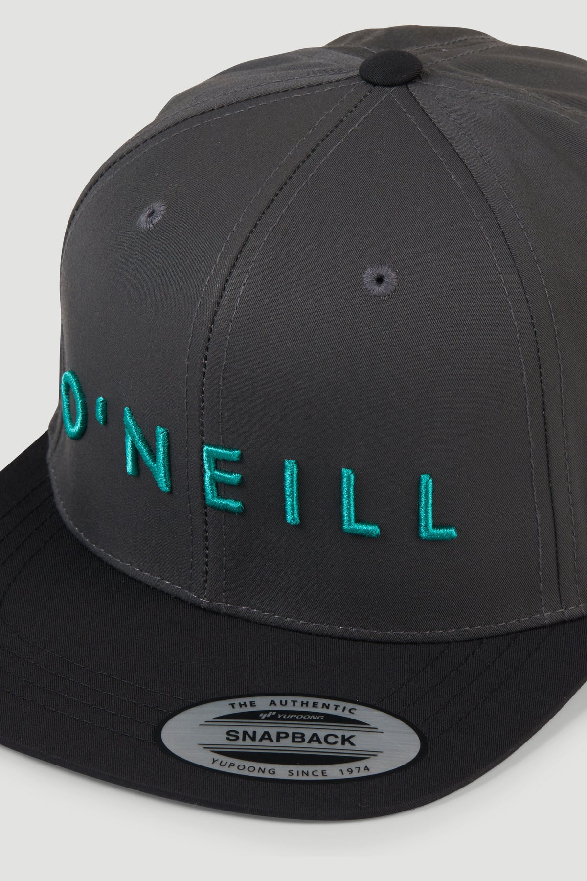 Yambo Pet | Asphalt Colour Block