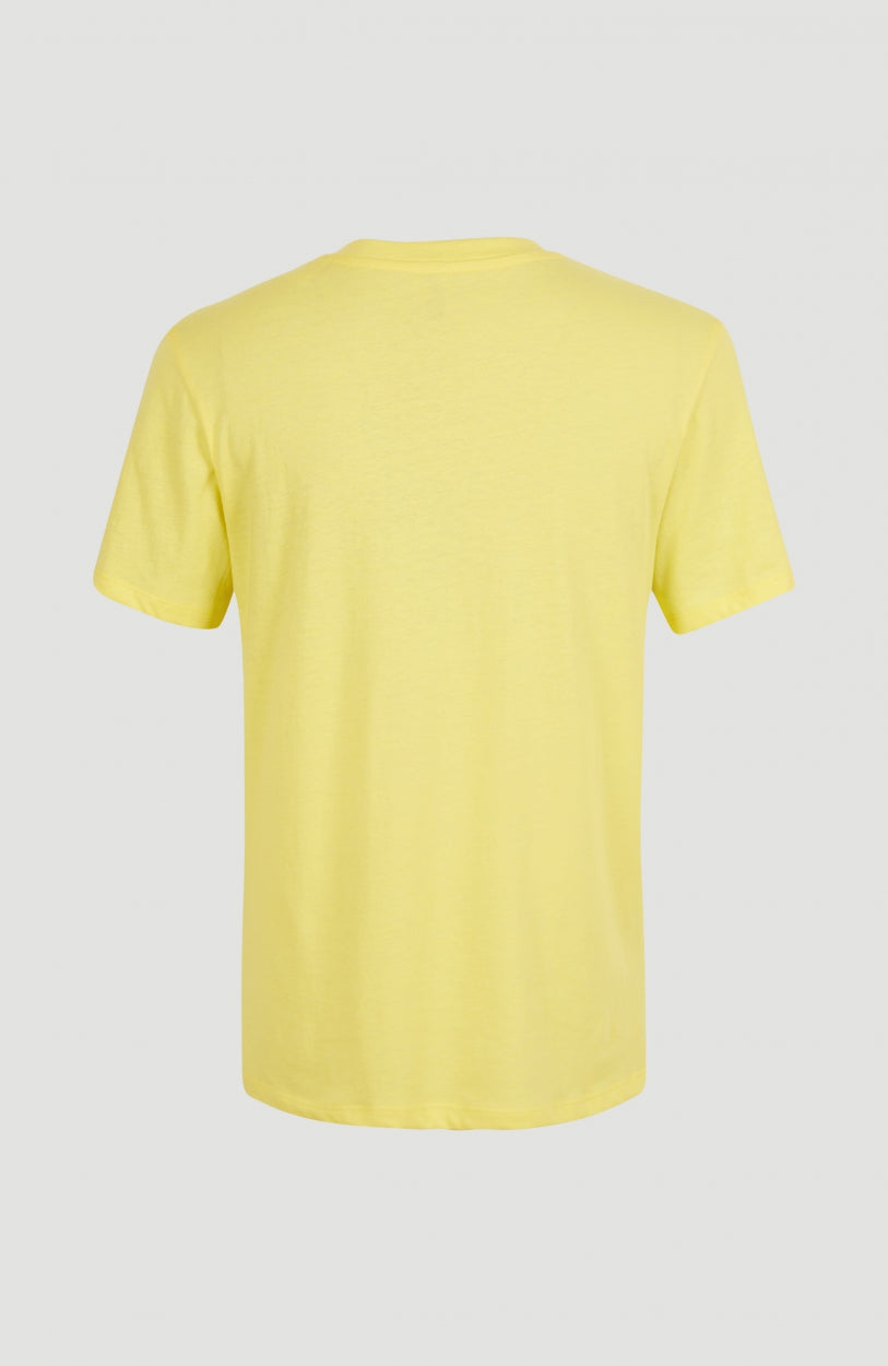 T-shirt Essentials met V-hals | Sunshine