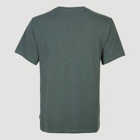 T-shirt Essentials met V-hals | Balsam Green