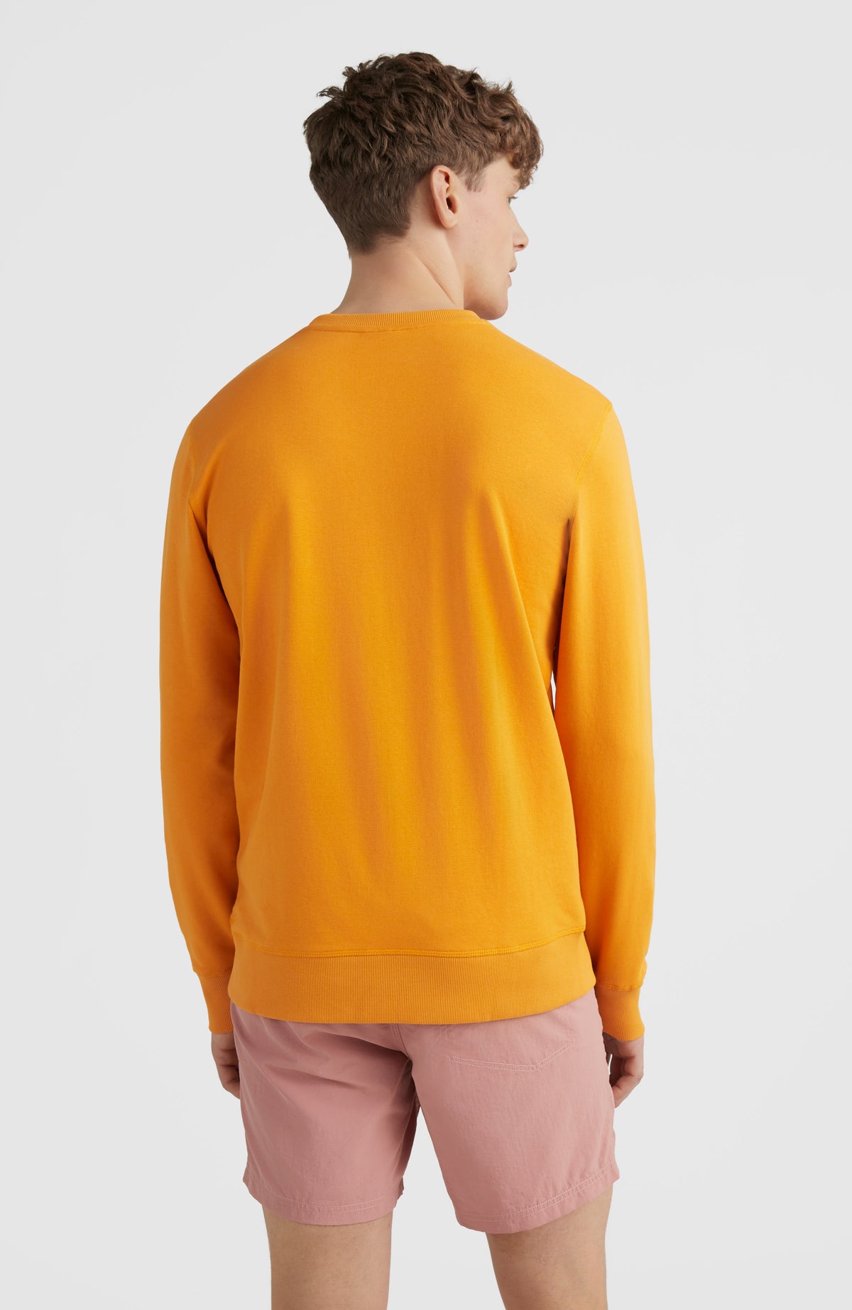 O'Neill Logo Crew sweater | Nugget