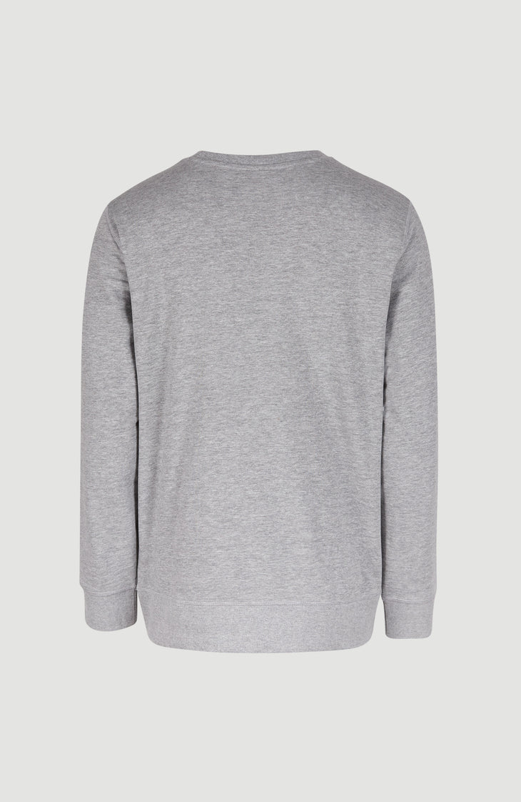 O'Neill Logo Crew sweater | Silver Melee
