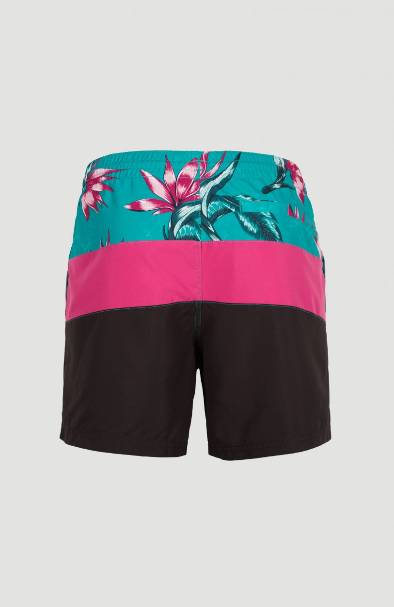 Frame Block Swim Short | Red Multi Stripe