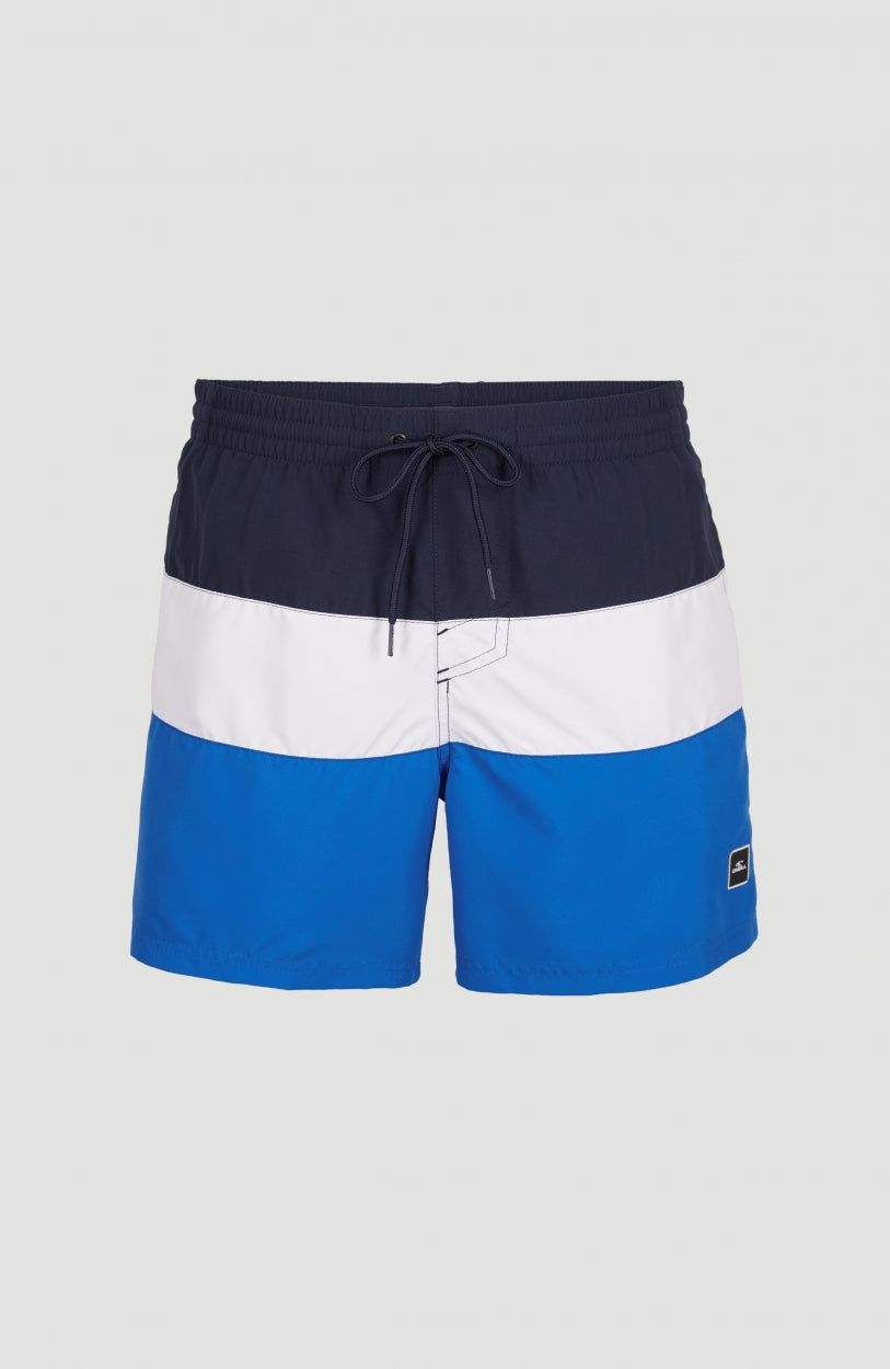Frame Block Swim Short | Blue Multi 9