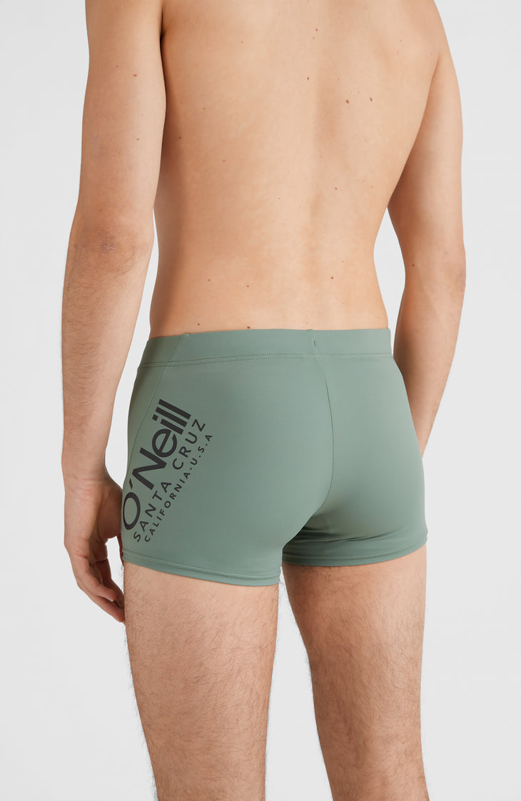 Cali Zwembroek | Deep Lichen Green