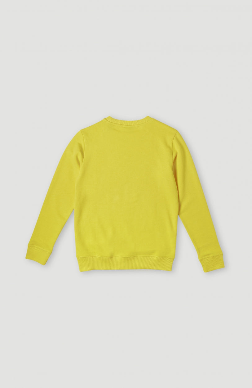 O'Neill Logo Crew sweater | Empire Yellow