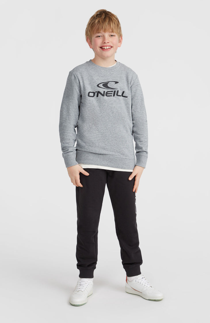 O'Neill Logo Crew sweater | Silver Melee