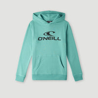 O'Neill Logo hoodie | Sea Green
