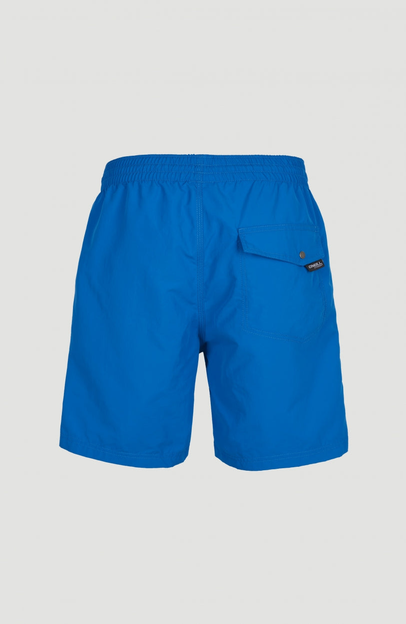 Vert Swim Short | Victoria Blue