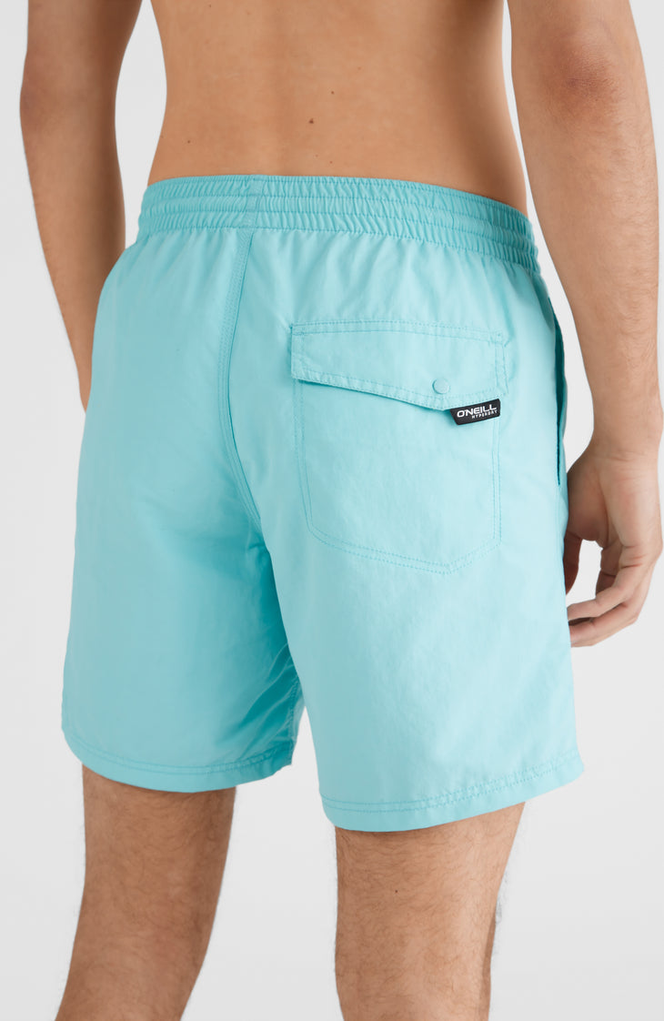 Vert Swim Short | Aqua Spalsh