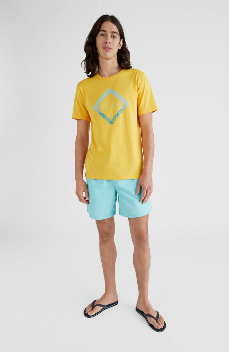 Vert Swim Short | Aqua Spalsh