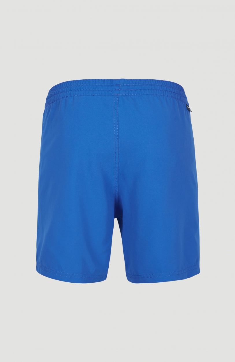 Cali Swim Short | Victoria Blue