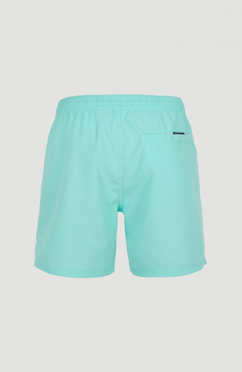 Cali Swim Short | Aqua Spalsh