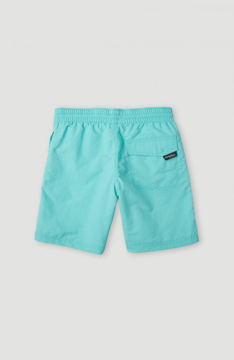 Vert Swim Short | Aqua Spalsh