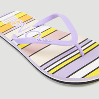 Slippers Profile Graphic | Multi Stripe