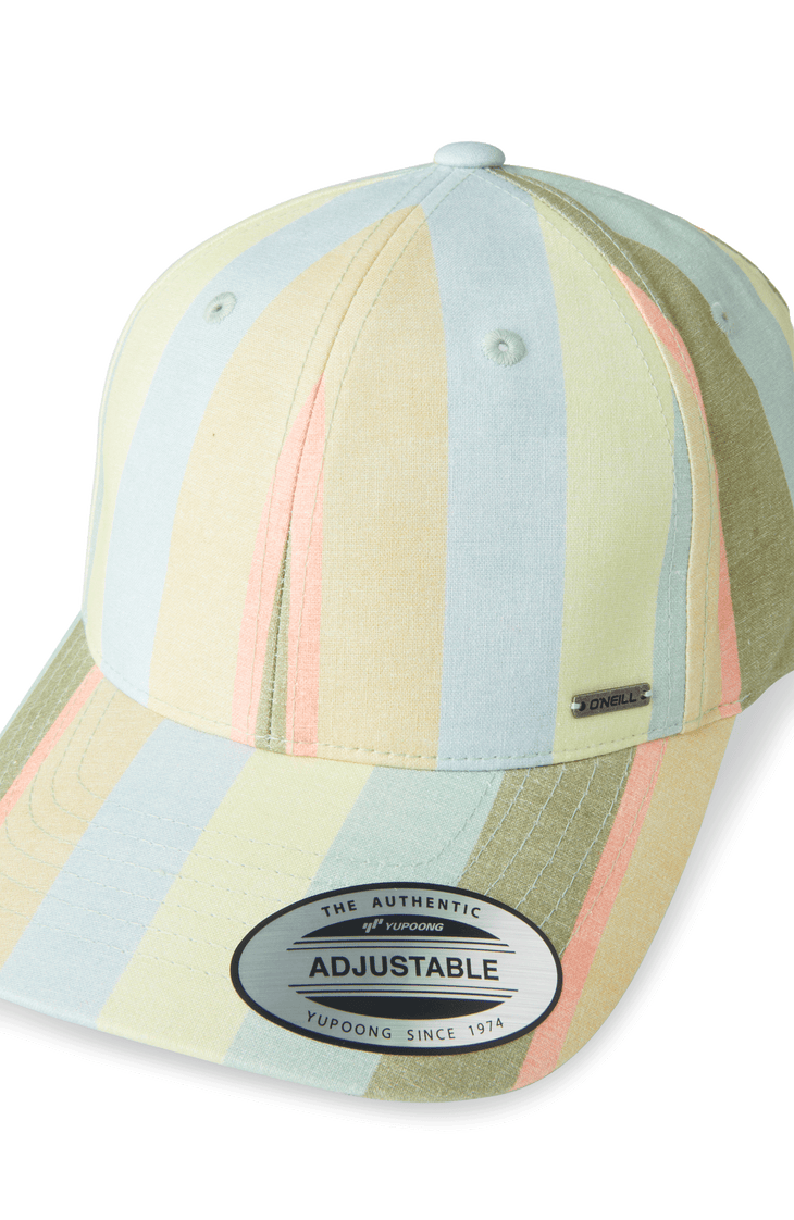 Seacoast pet | Multi Must Haves Stripe