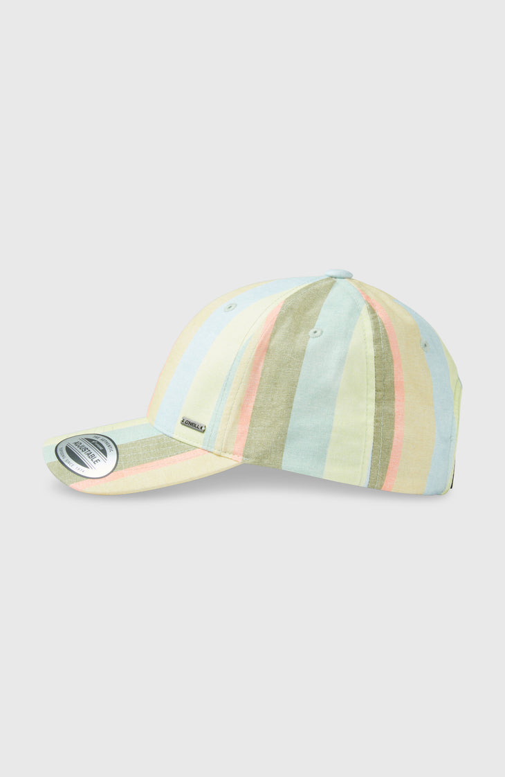 Seacoast pet | Multi Must Haves Stripe