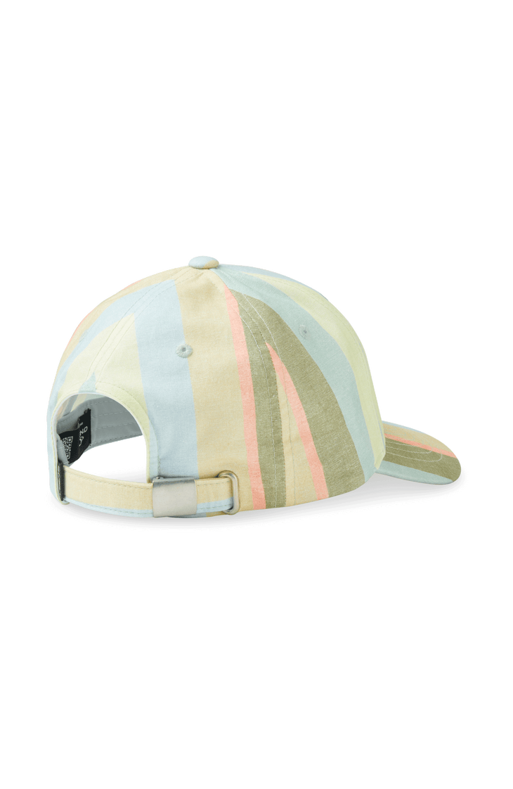 Seacoast pet | Multi Must Haves Stripe