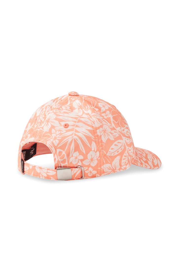 Seacoast pet | Peach Island Sky