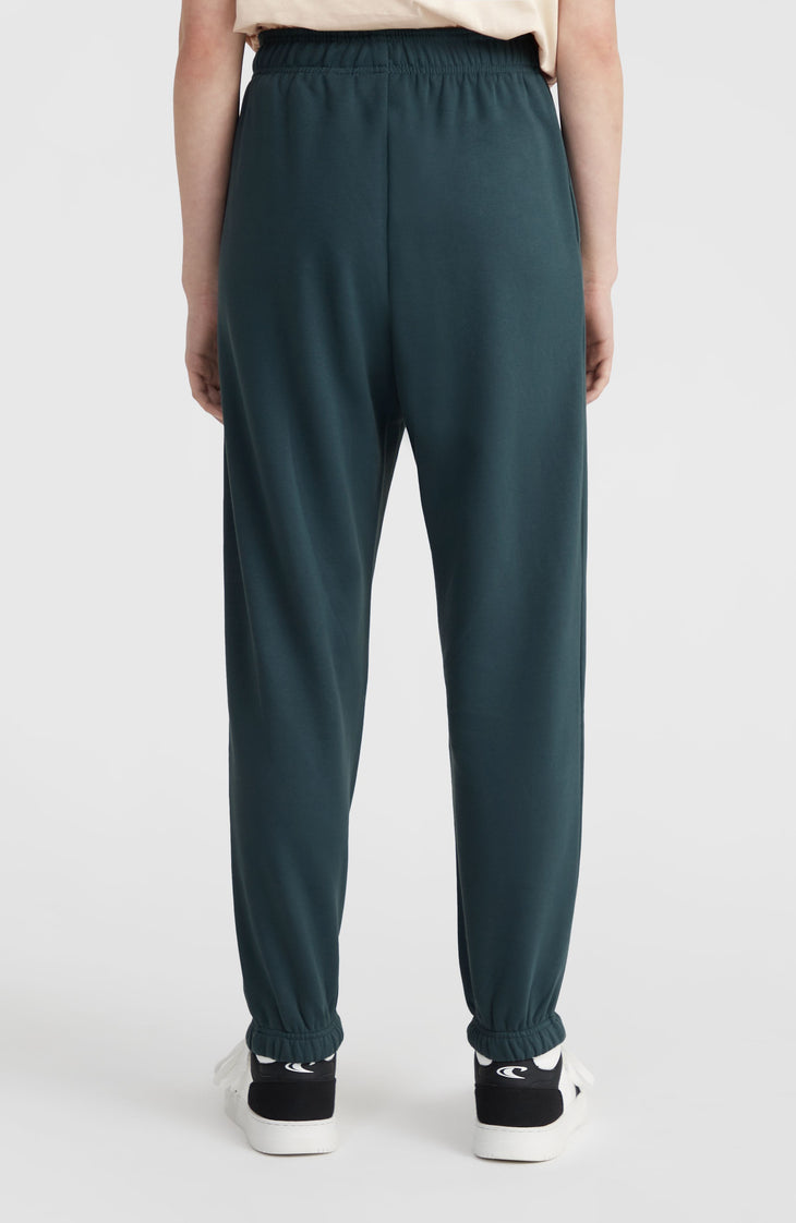 Future Surf Society joggingbroek | Alma Steel