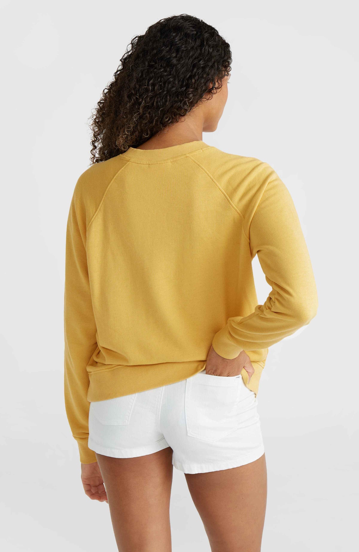 O'Neill Beach Vintage Crew sweater | Golden Haze