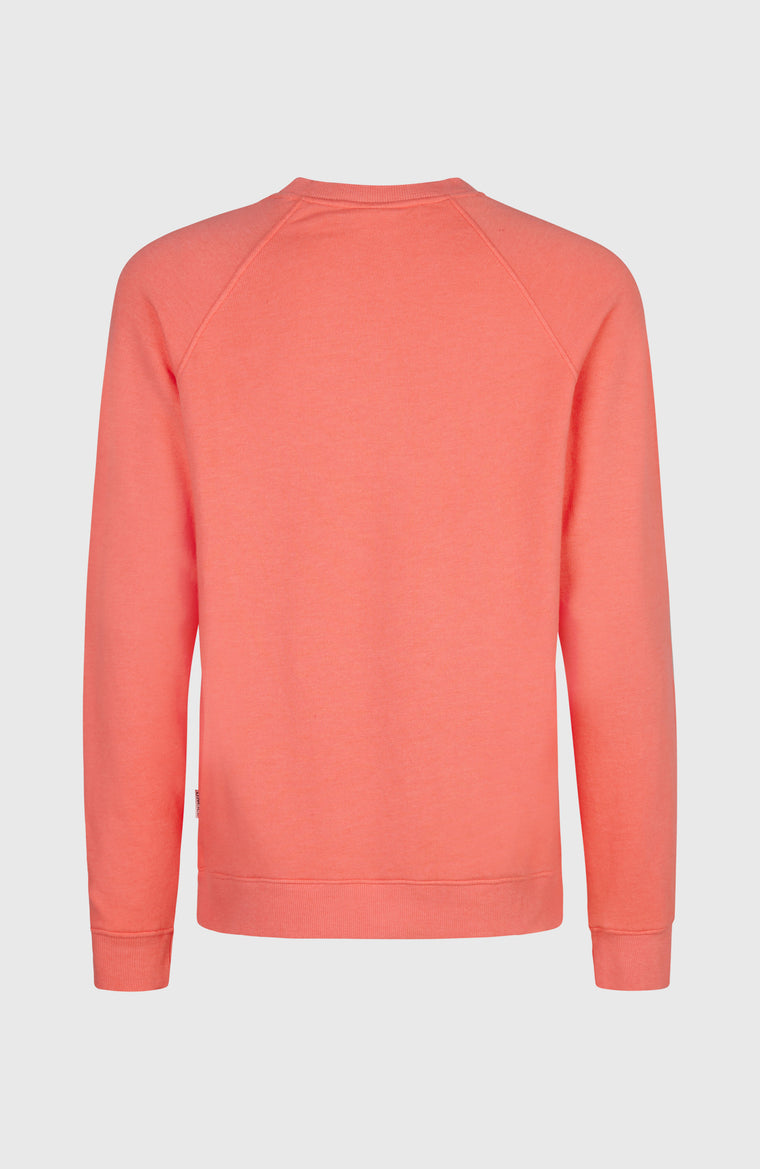 O'Neill Beach Vintage Crew sweater | Rose Parade