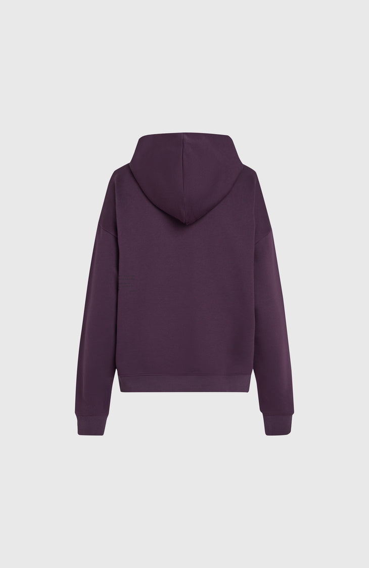 Future Surf Society hoodie | Aubergine