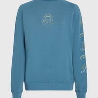 Beach Vintage Crew sweater | Copen Blue