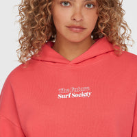 Future Surf Society hoodie | Froly