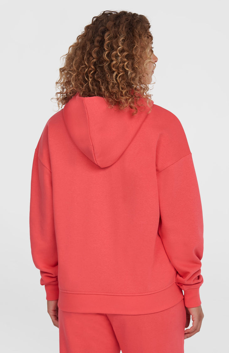 Future Surf Society hoodie | Froly